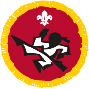 Martial Arts Badges (16)